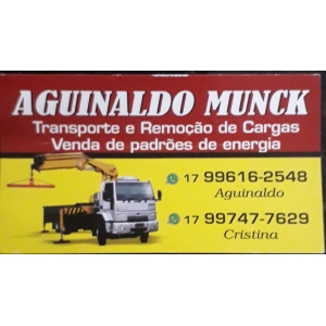 AGUINALDO MUNK (MONTAGEM E INSTALAÇÃO DE POSTES)