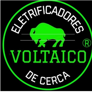 MARCOS CAPELAS CENTENO (VOLTAICO)
